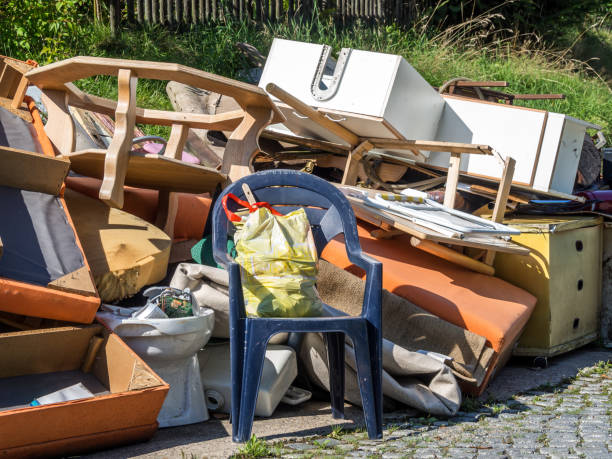 Best Yard Waste Removal  in Plainview, NE